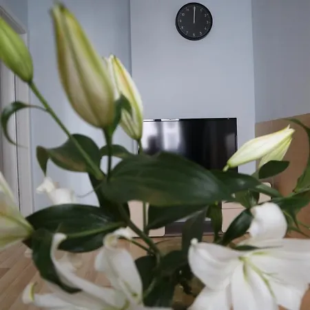 One More Night Apartment, Old Town * Познань