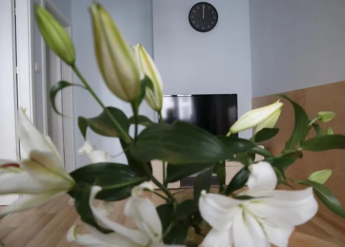 One More Night Apartment, Old Town * Poznań