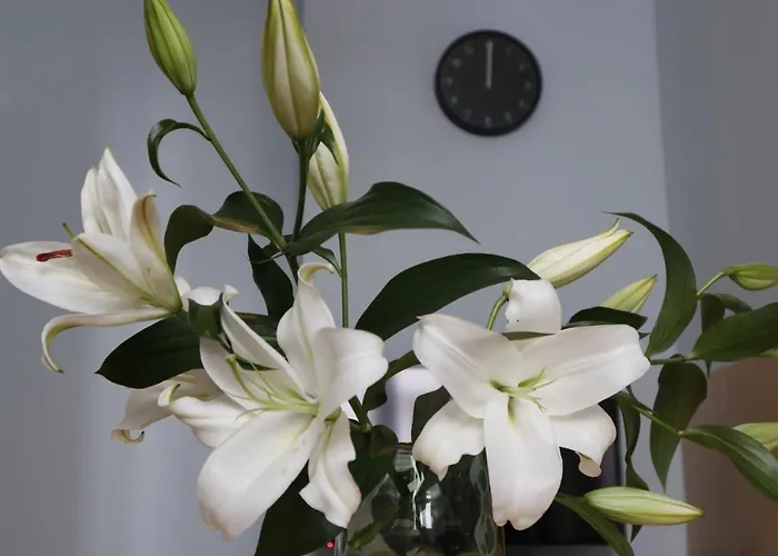 One More Night Apartment, Old Town Poznań